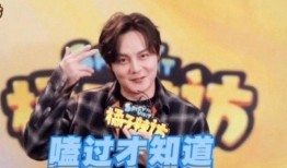 娱乐圈博君一肖爆料,娱乐圈甜蜜互动背后的秘密大揭秘